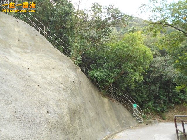 012.jpg