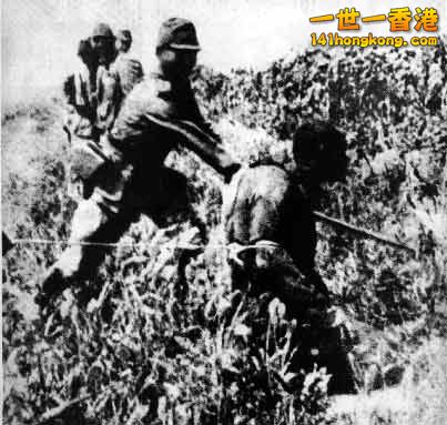 nanking_massacre_1184634420.jpg