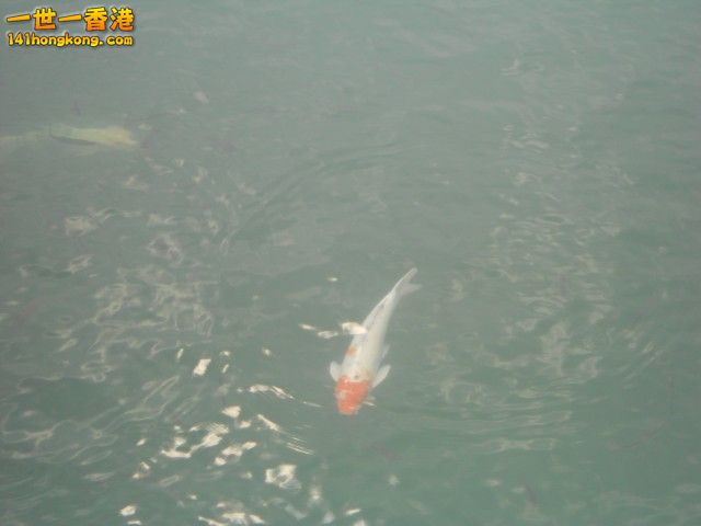 030.jpg
