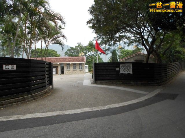 062.jpg