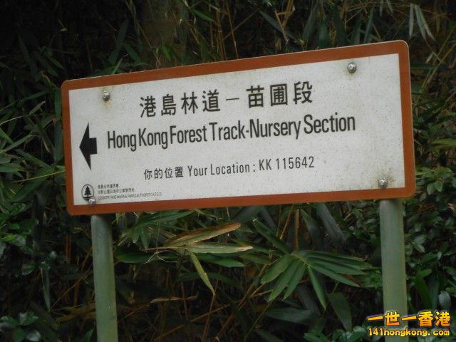 072.jpg