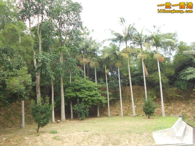 071.jpg