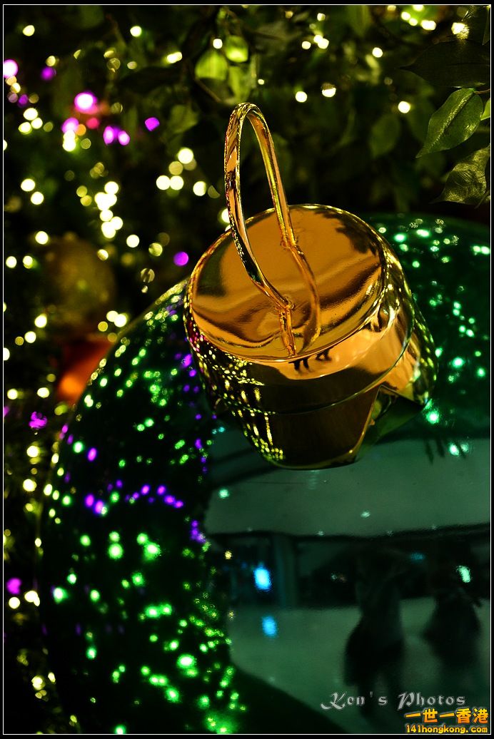 DSC_9591.jpg