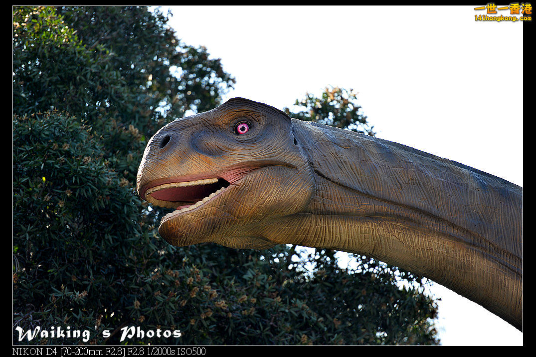 DSC_9266.jpg