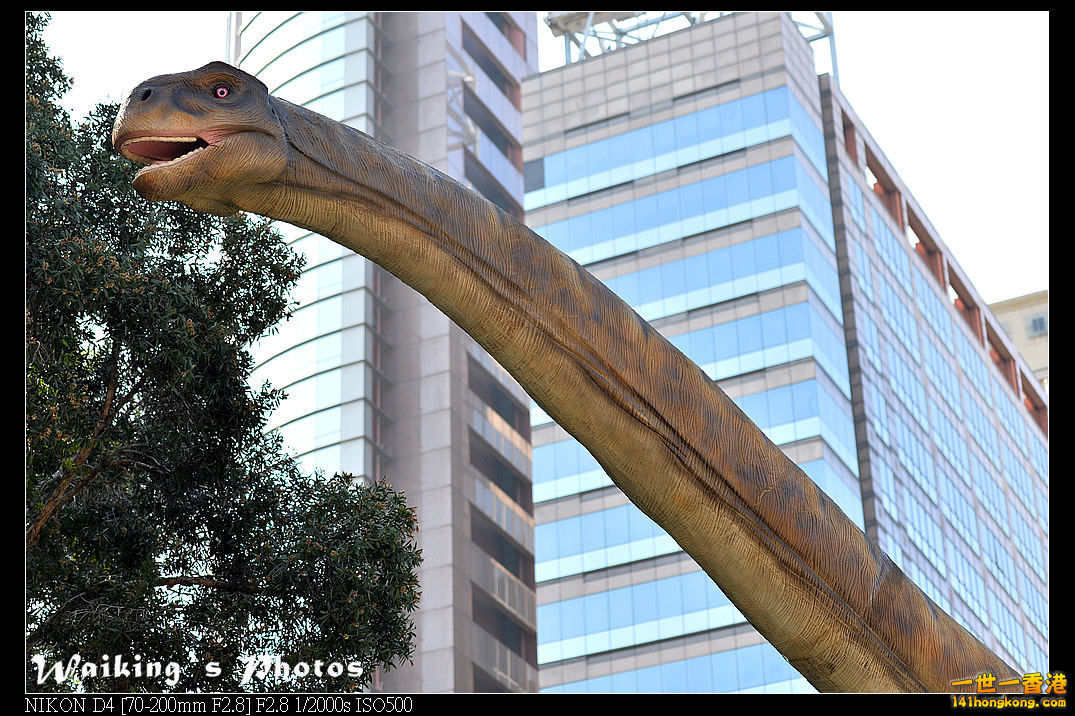 DSC_9267.jpg