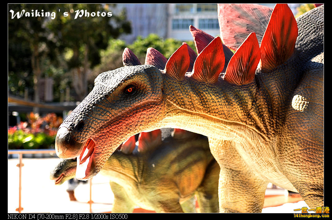 DSC_9269.jpg