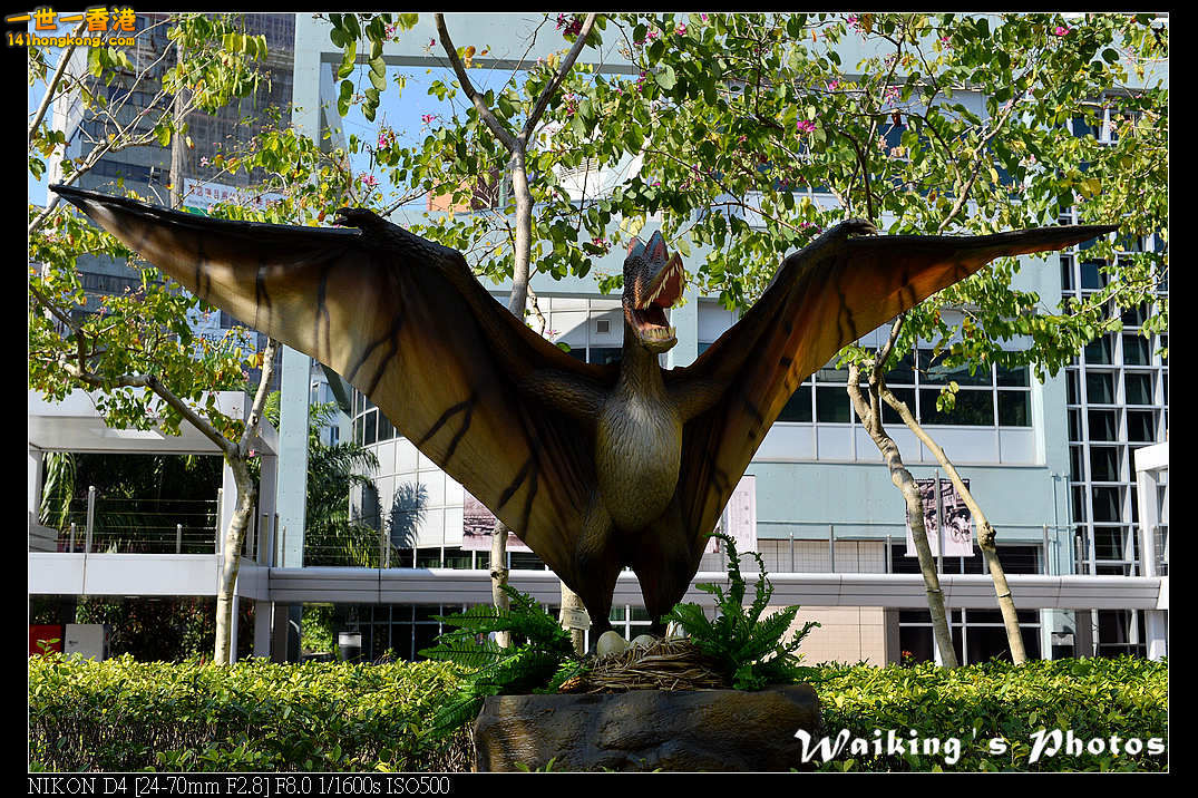 DSC_9279.jpg