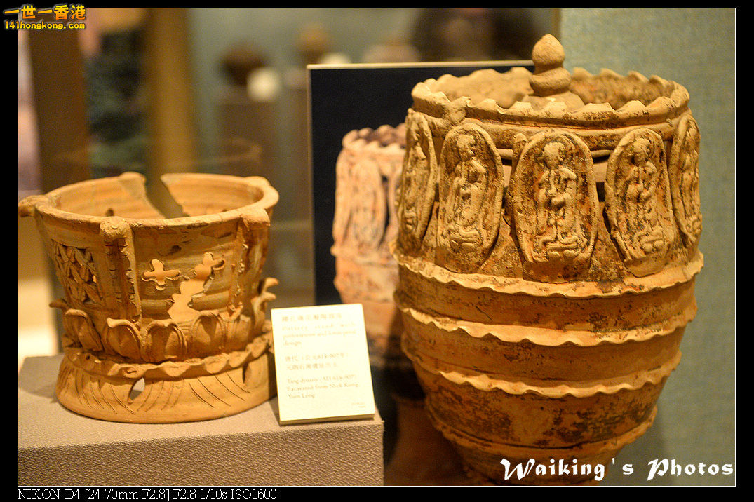 DSC_9305.jpg