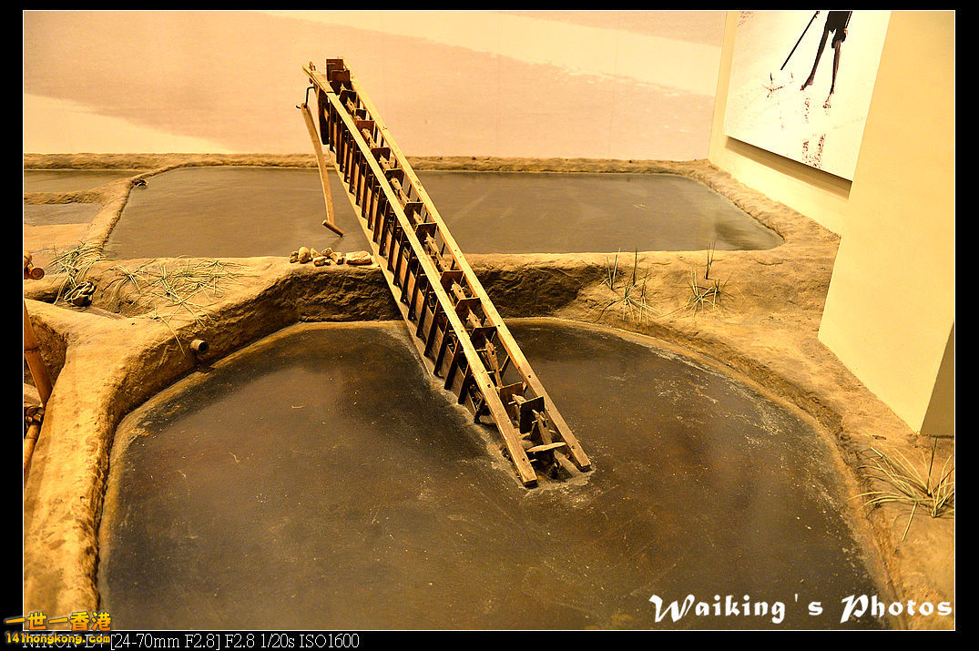DSC_9314.jpg