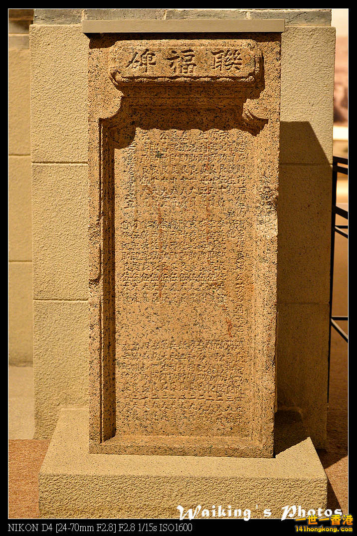 DSC_9350.jpg