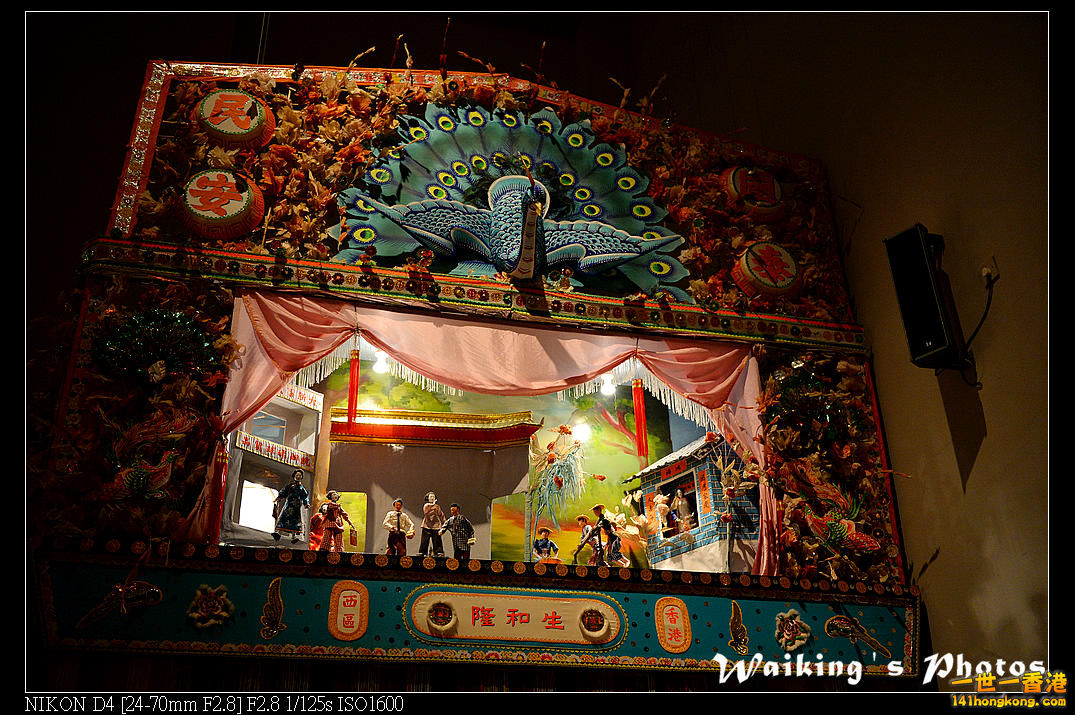 DSC_9356.jpg
