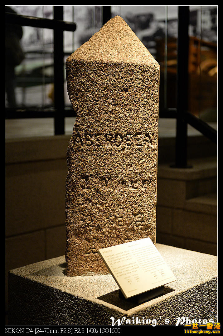 DSC_9366.jpg