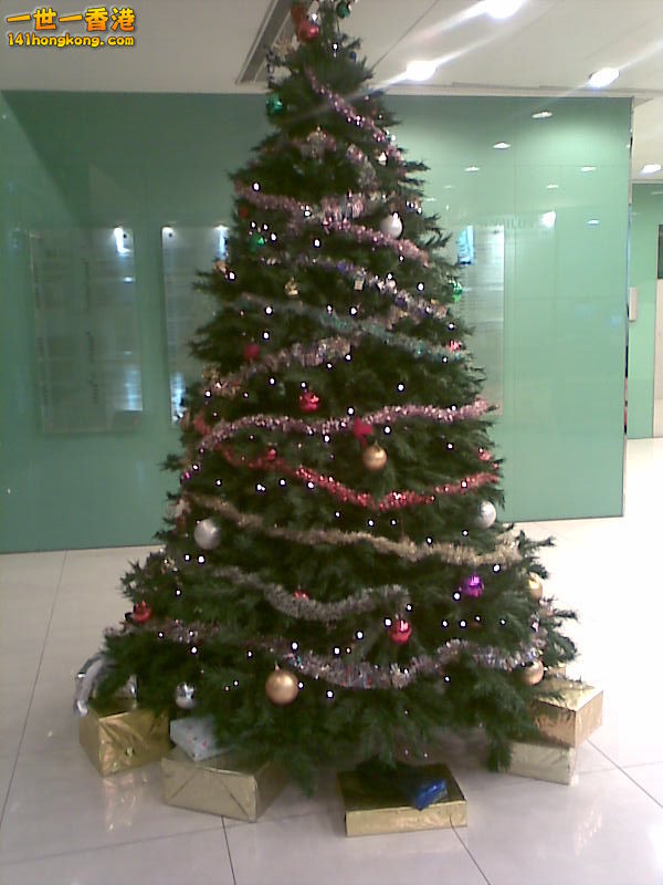 聖誕樹.jpg