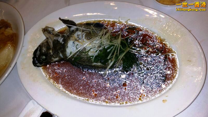 IMG-20131222-蒸魚.jpg
