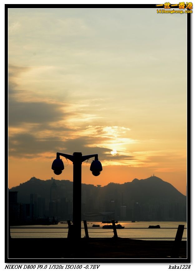 02 (12).jpg