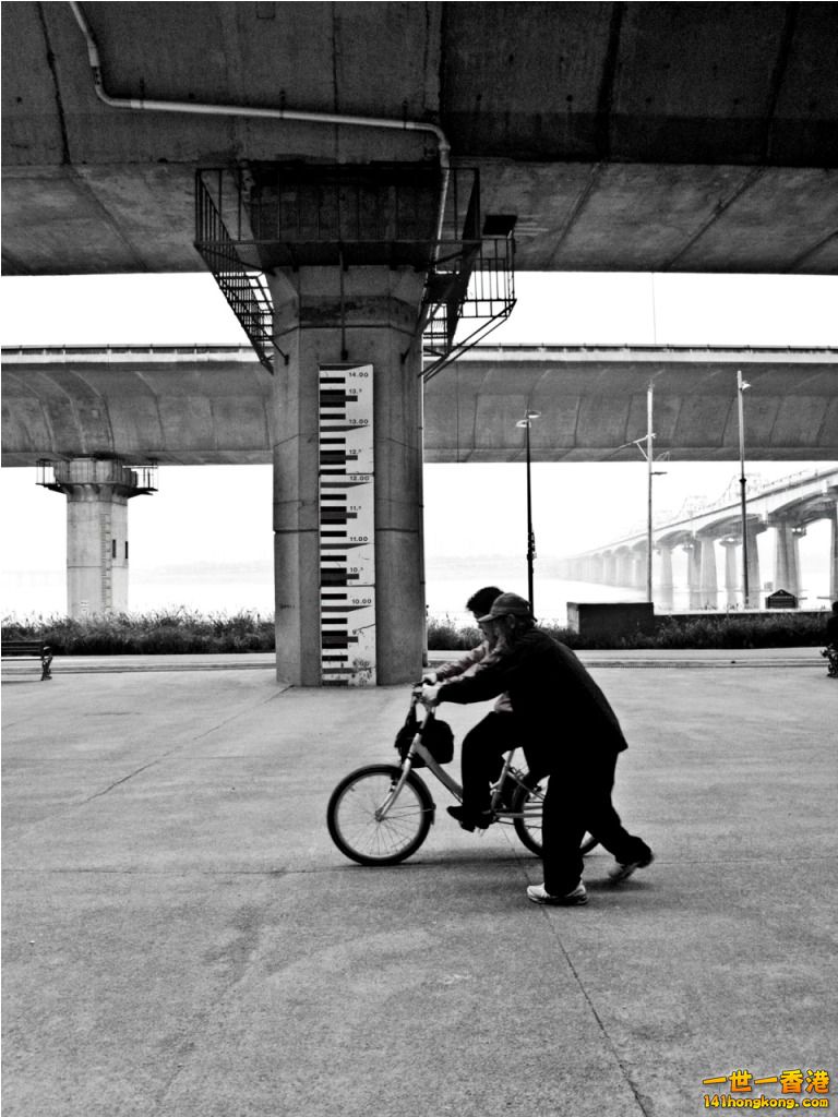 learning to ride the bicycle.jpg