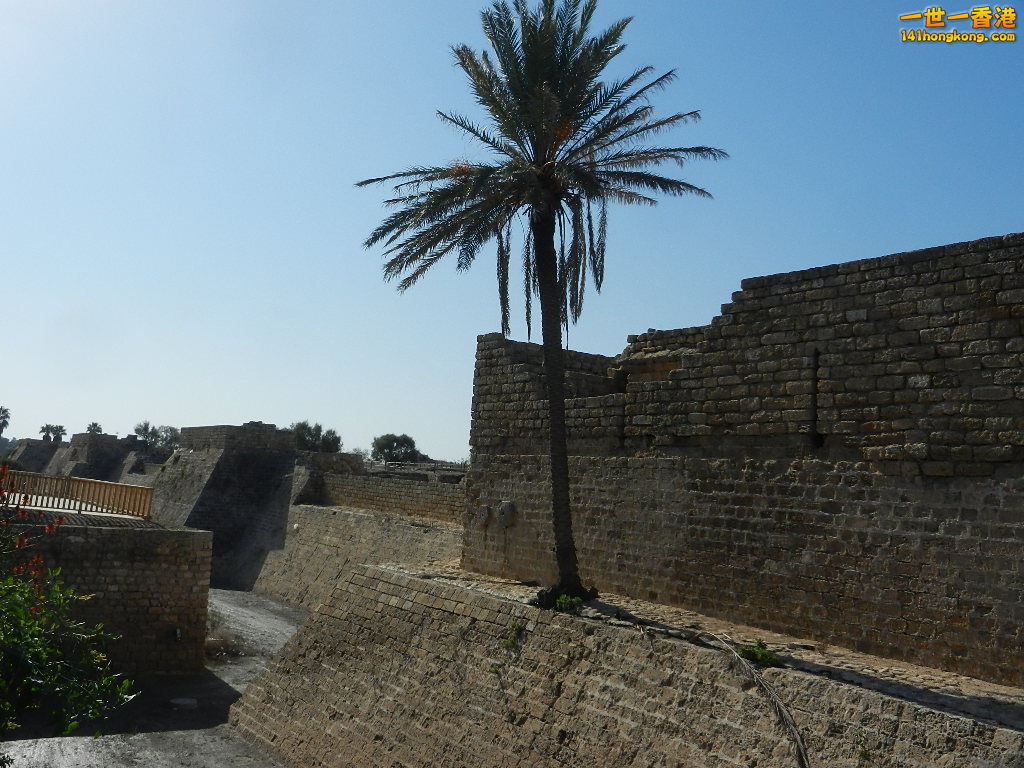DSCN5382.JPG