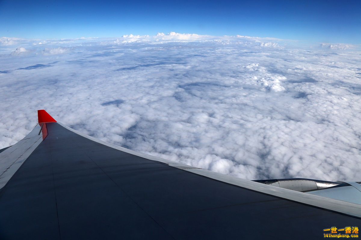 CW8U2778.JPG