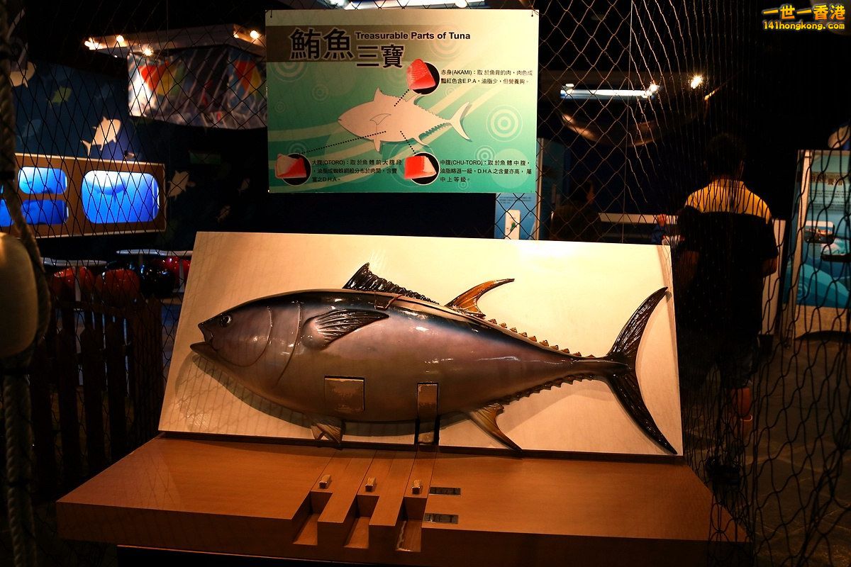 CW8U2847.JPG