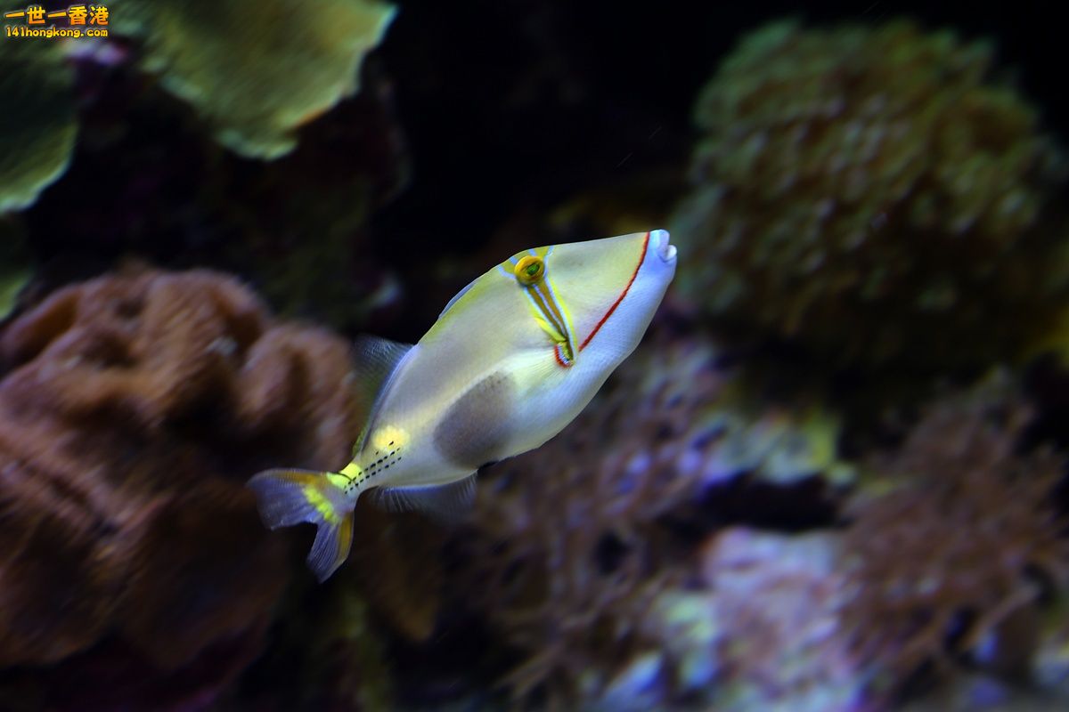 CW8U2865.JPG