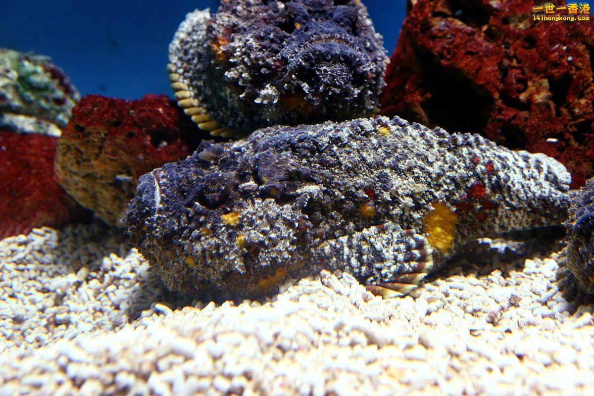 CW8U2870.JPG