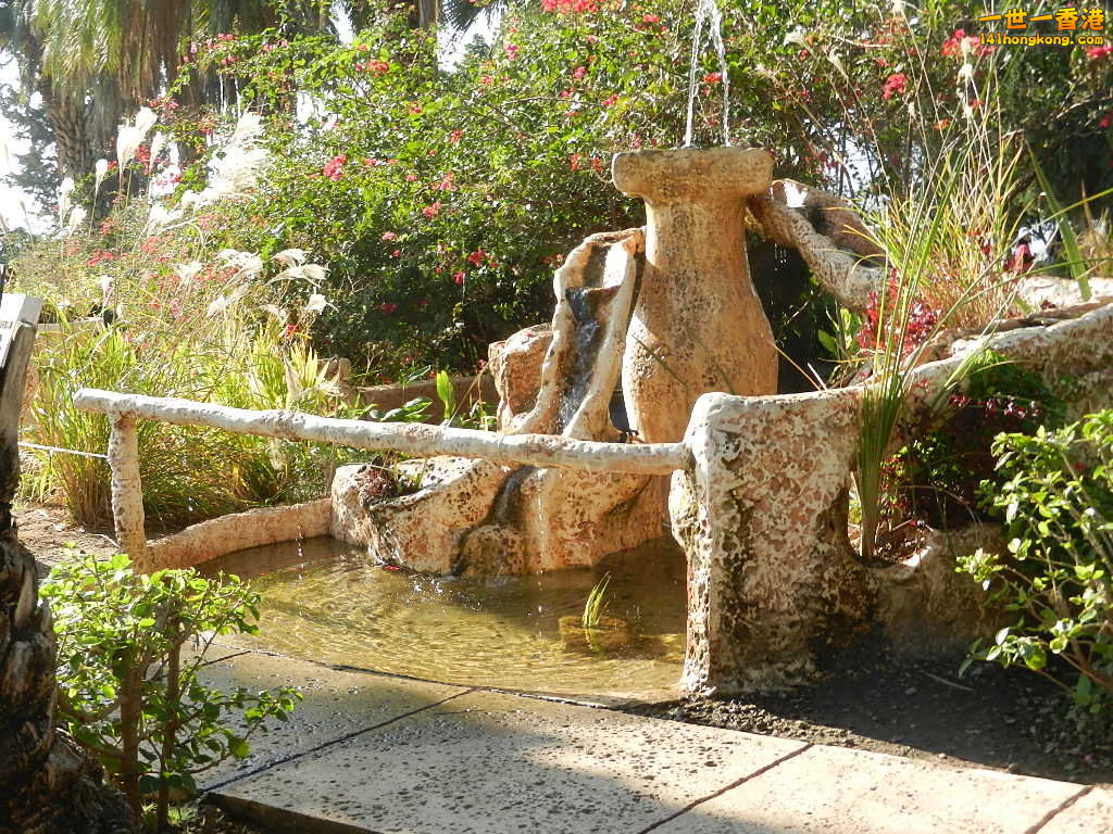 DSCN5586.JPG