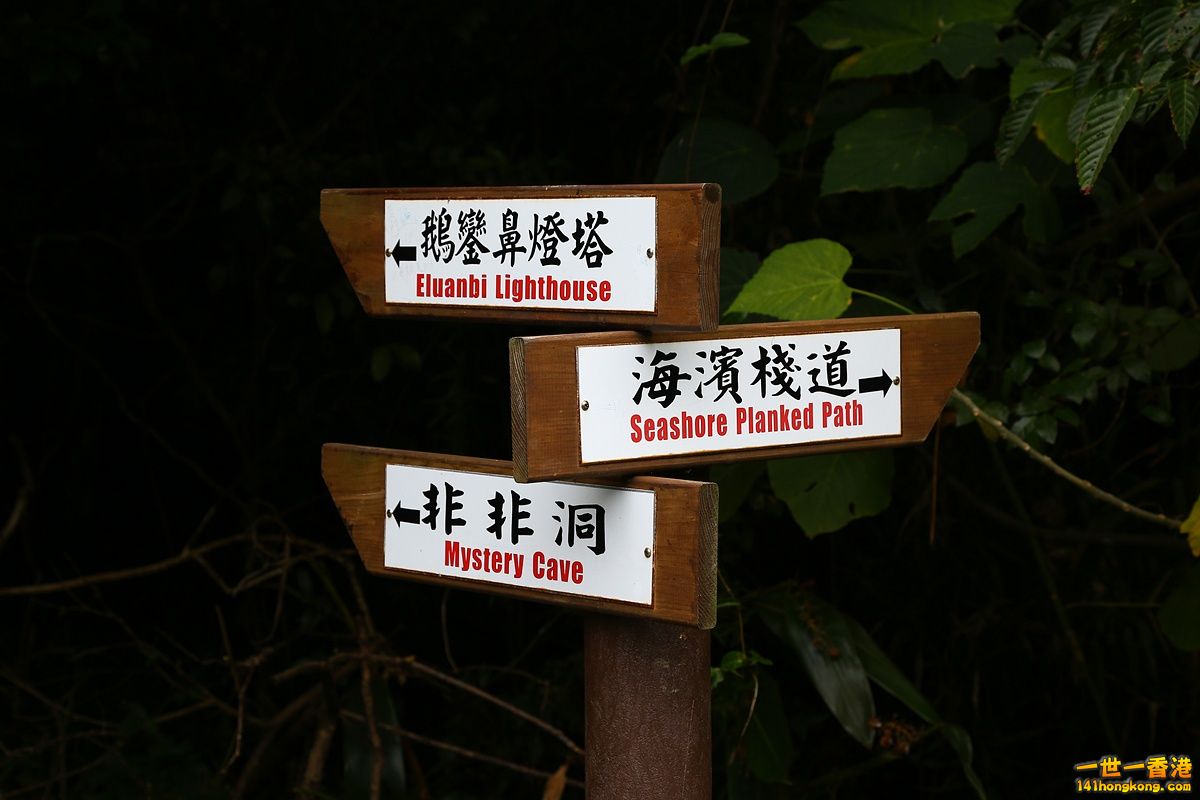 CW8U3052.JPG