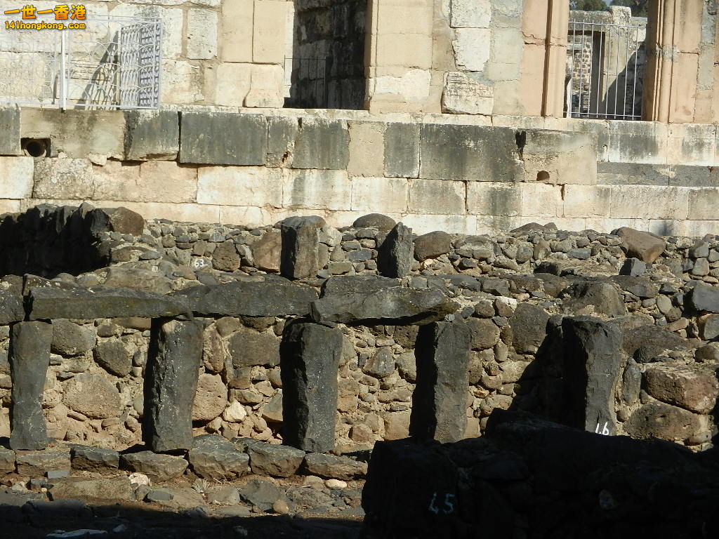 DSCN5628.JPG
