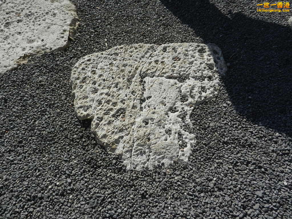 DSCN5706.JPG