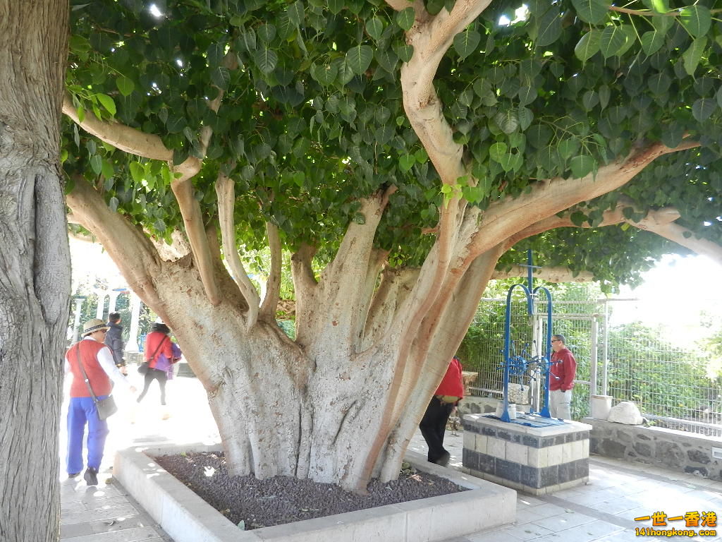 DSCN5662.JPG