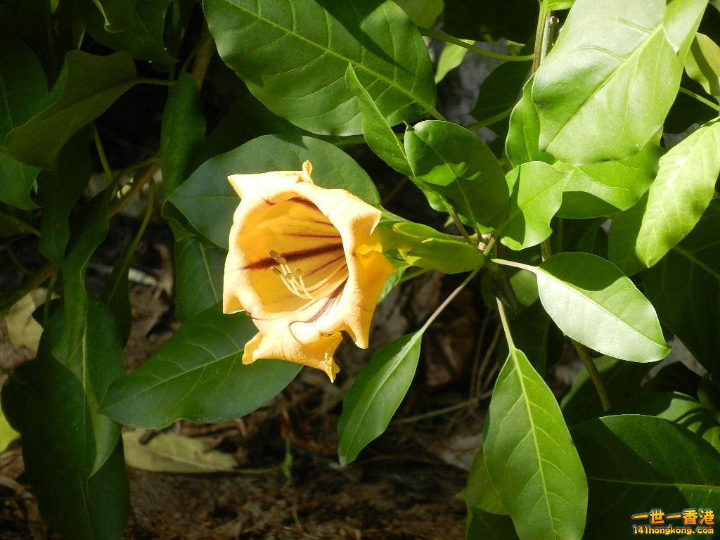 DSCN5686.JPG