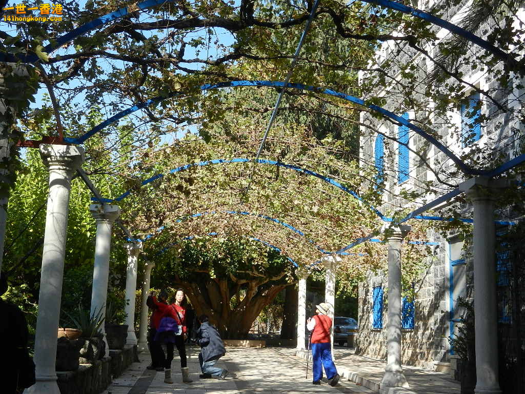DSCN5687.JPG
