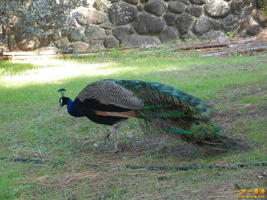 DSCN5694.JPG