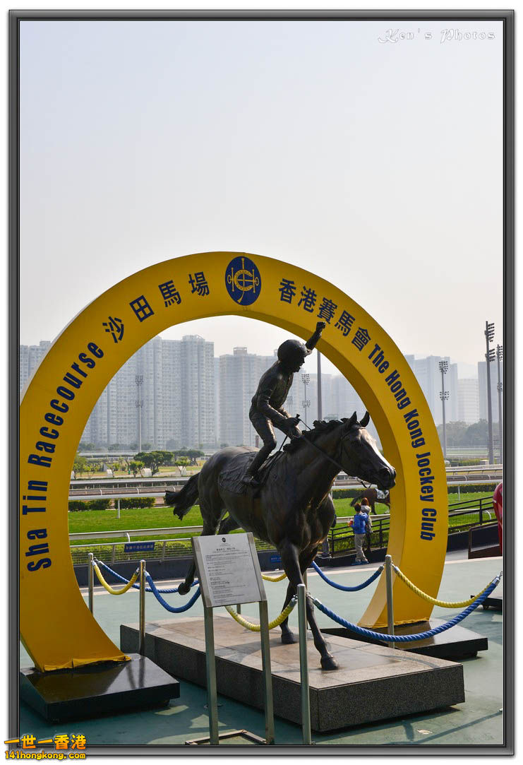 DSC_1550.jpg