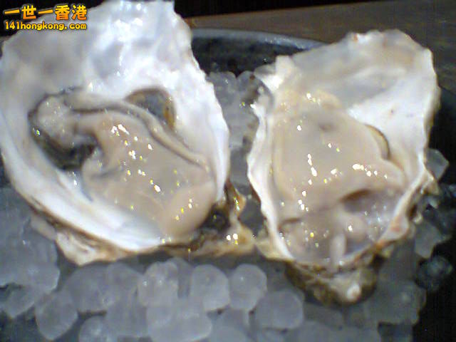 日本生蠔.jpg