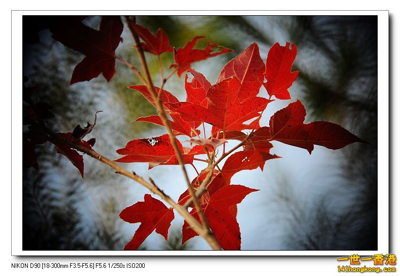 nEO_IMG_DSC_9673.jpg