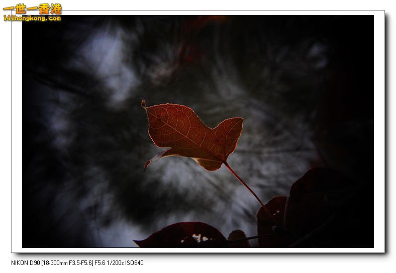 nEO_IMG_DSC_9821.jpg