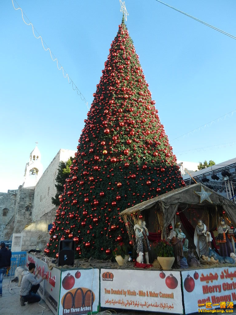 DSCN6275.JPG