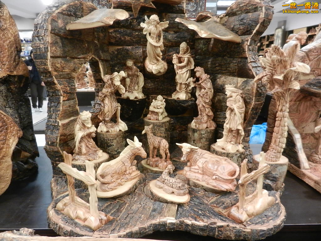 DSCN6302.JPG