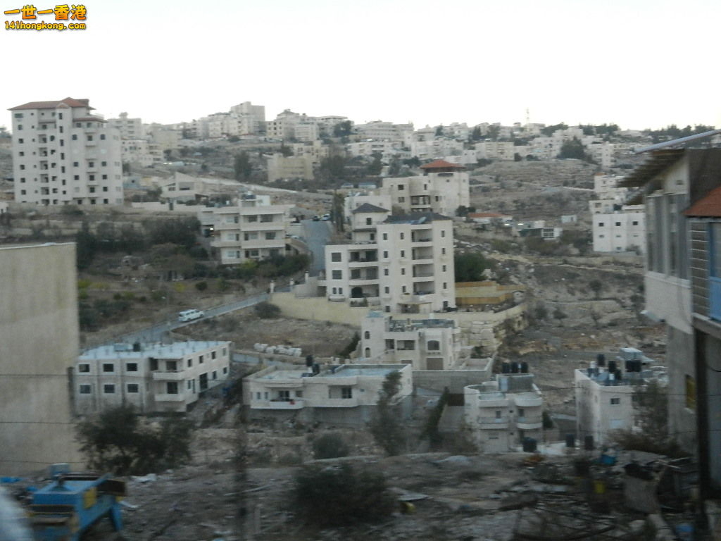 DSCN6310.JPG