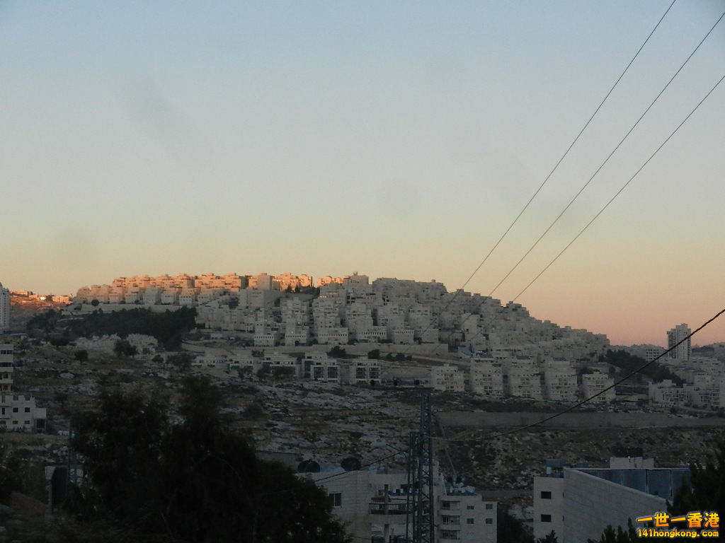 DSCN6311.JPG