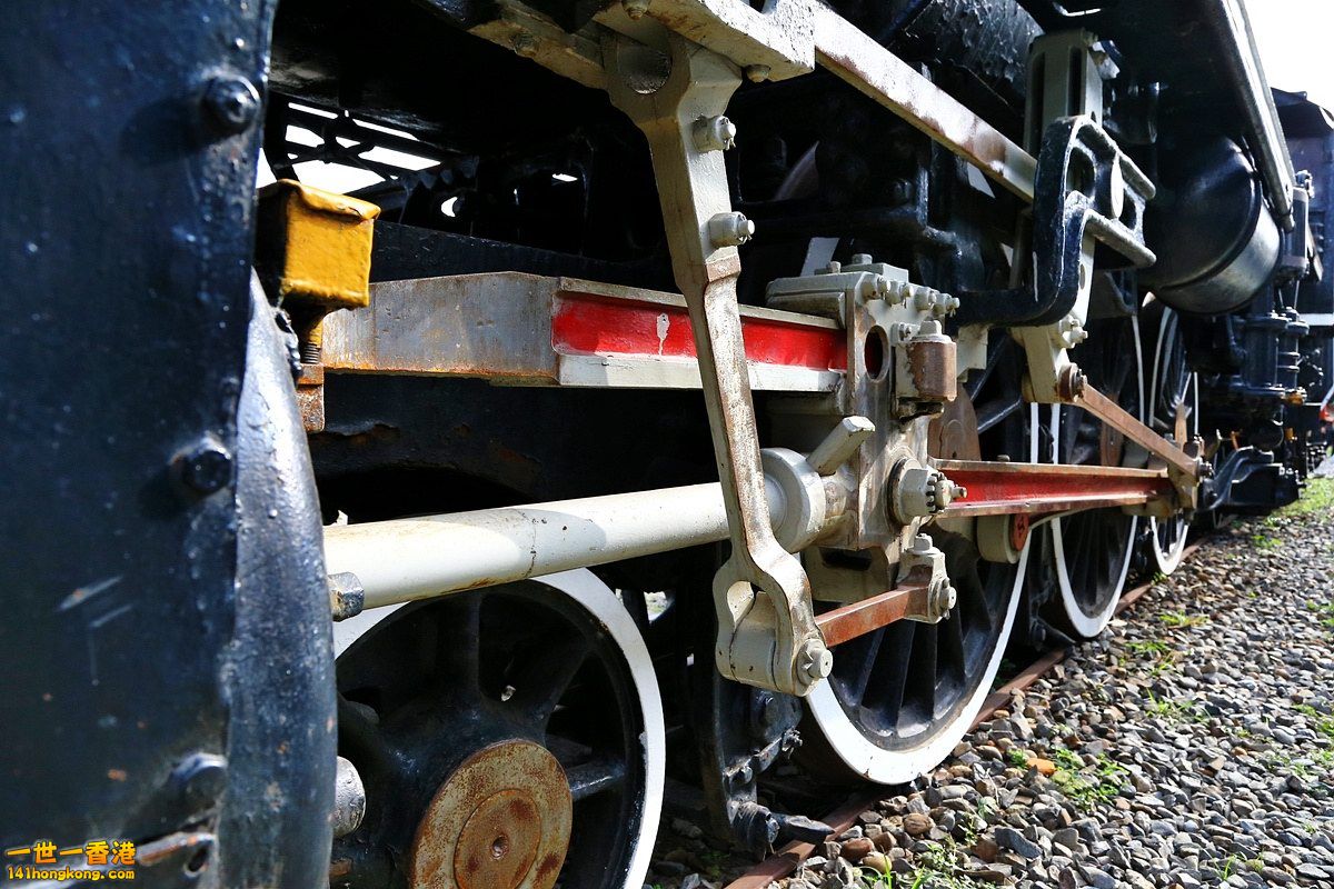 CW8U3343.JPG