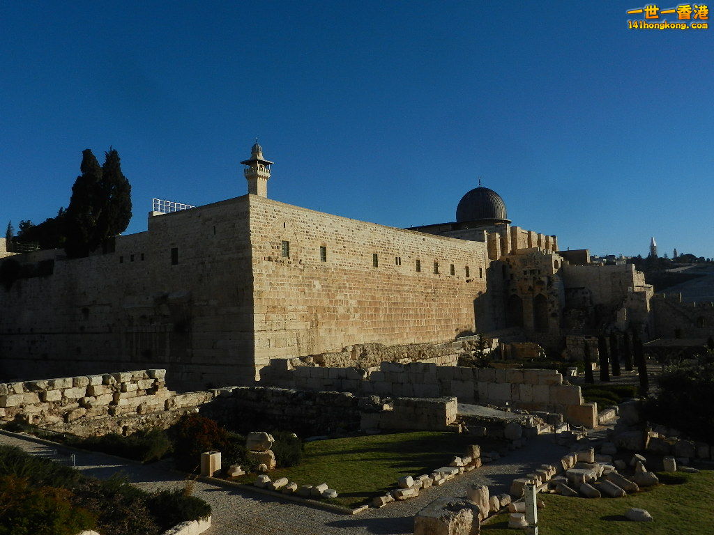 DSCN6387.JPG