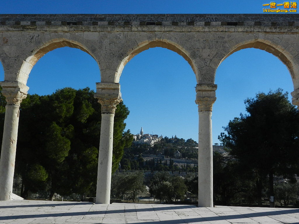 DSCN6450.JPG