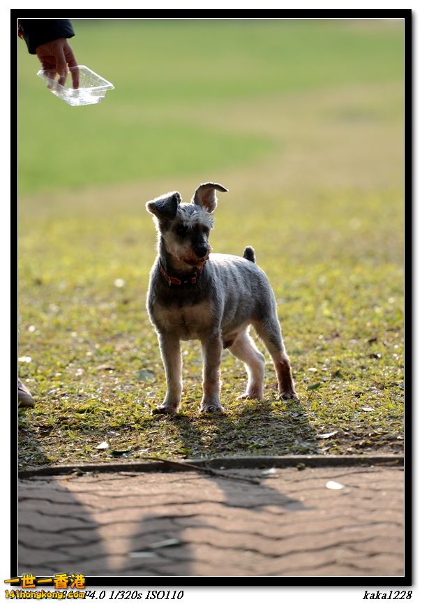 PF (2).jpg