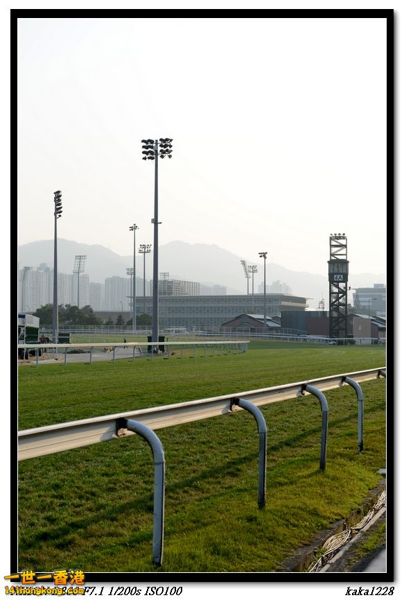 PF (11).jpg