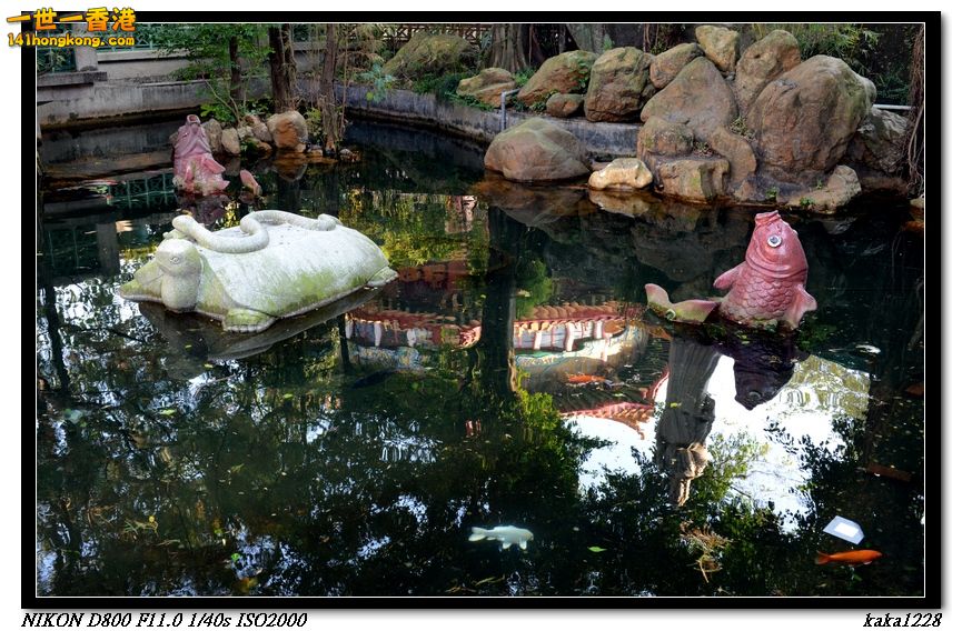 01 (35).jpg