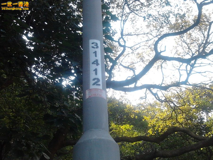 相片0398.jpg