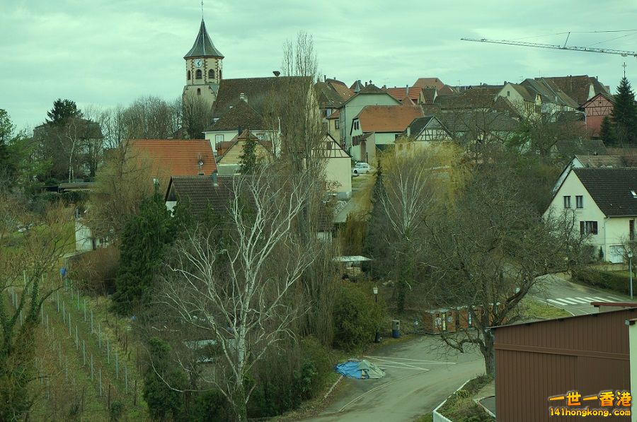 DSC00213.jpg