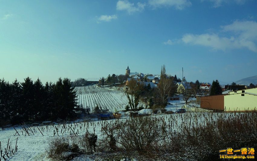 DSC00617.jpg